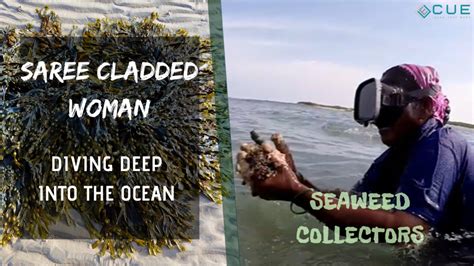 Uncovering the Ancient Traditions of Stuart's Magic Seaweed